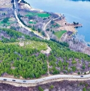 沿黄赏花正当时！洛阳青年自驾畅游新安春日画卷